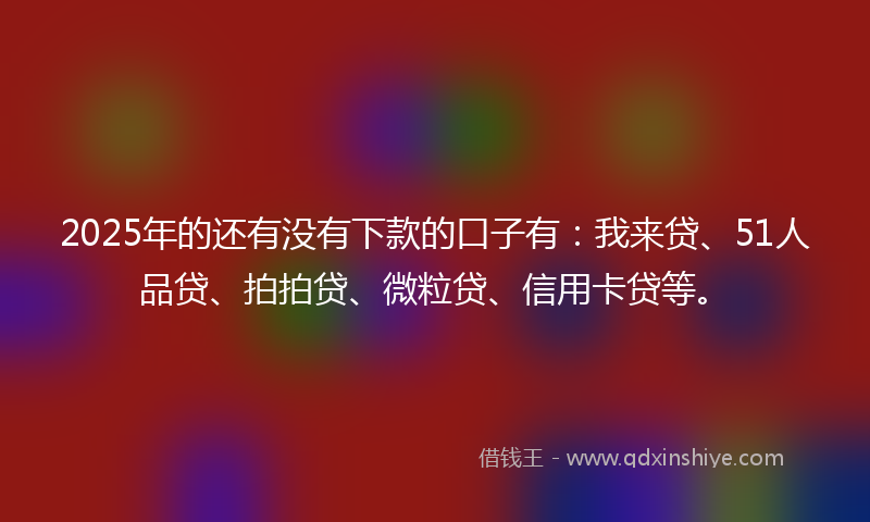 2025年的还有没有下款的口子有：我来贷、51人品贷、拍拍贷、微粒贷、信用卡贷等。