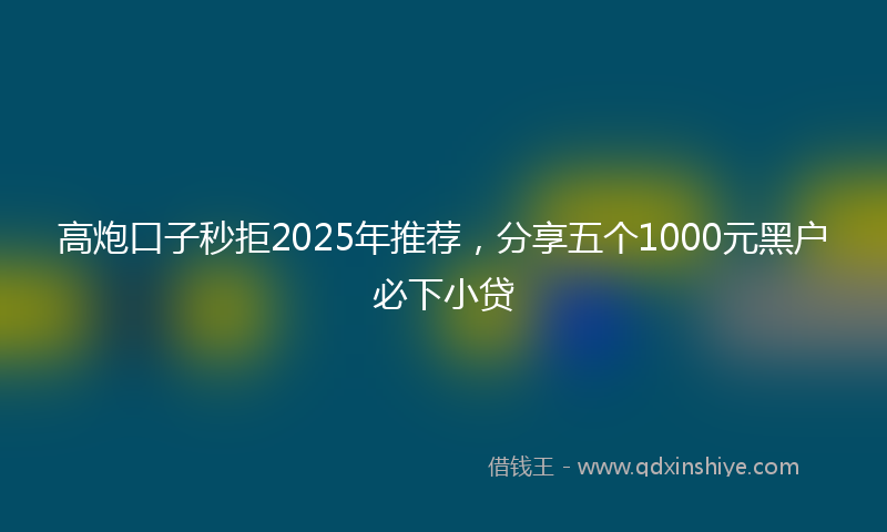 高炮口子秒拒2025年推荐，分享五个1000元黑户必下小贷