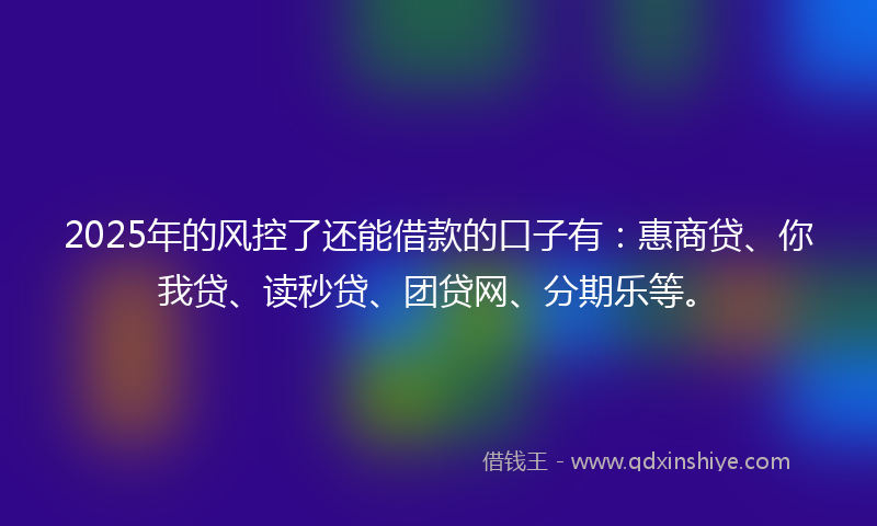 2025年的风控了还能借款的口子有：惠商贷、你我贷、读秒贷、团贷网、分期乐等。