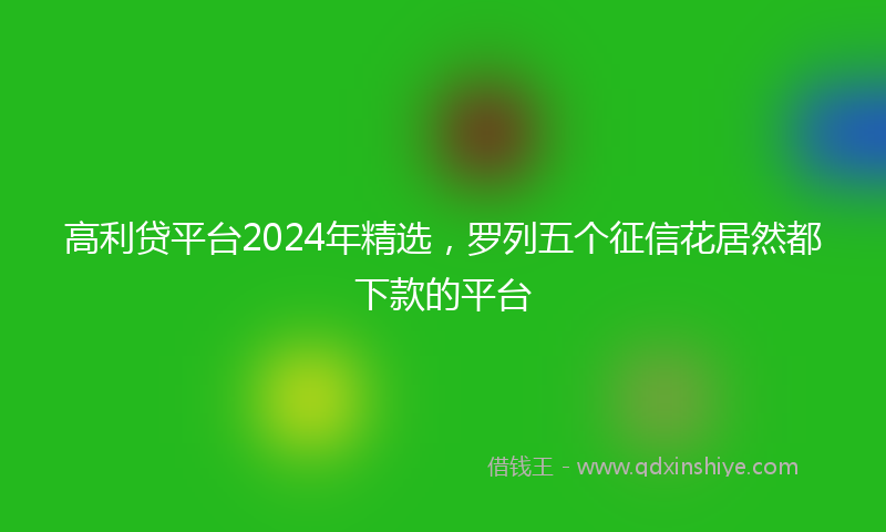 高利贷平台2024年精选，罗列五个征信花居然都下款的平台