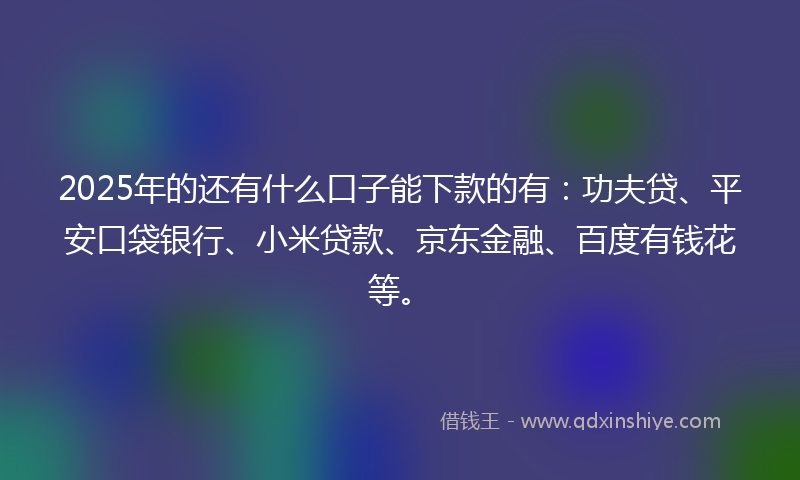 2025年的还有什么口子能下款的有：功夫贷、平安口袋银行、小米贷款、京东金融、百度有钱花等。