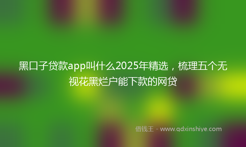 黑口子贷款app叫什么2025年精选，梳理五个无视花黑烂户能下款的网贷