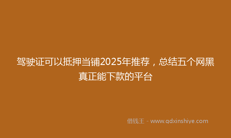 驾驶证可以抵押当铺2025年推荐，总结五个网黑真正能下款的平台