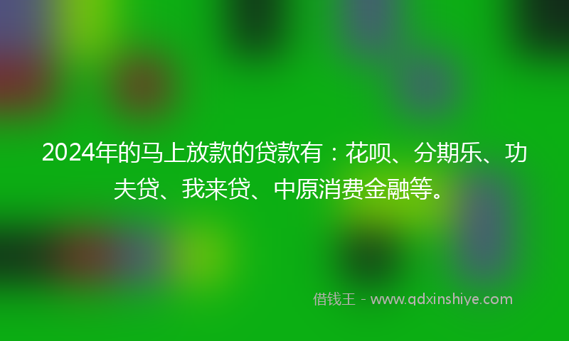 2024年的马上放款的贷款有：花呗、分期乐、功夫贷、我来贷、中原消费金融等。