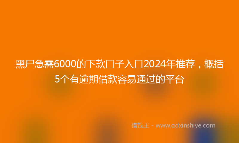 黑尸急需6000的下款口子入口2024年推荐，概括5个有逾期借款容易通过的平台
