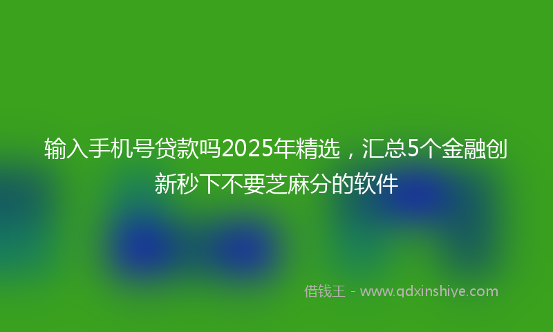 输入手机号贷款吗2025年精选，汇总5个金融创新秒下不要芝麻分的软件