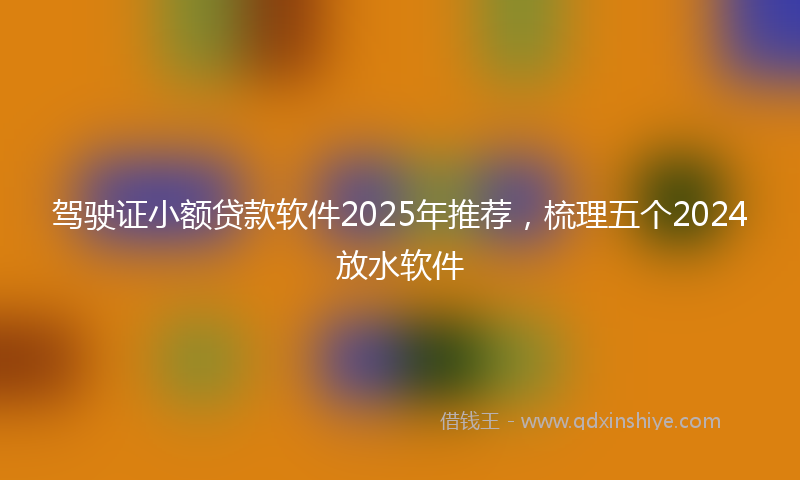 驾驶证小额贷款软件2025年推荐，梳理五个2024放水软件