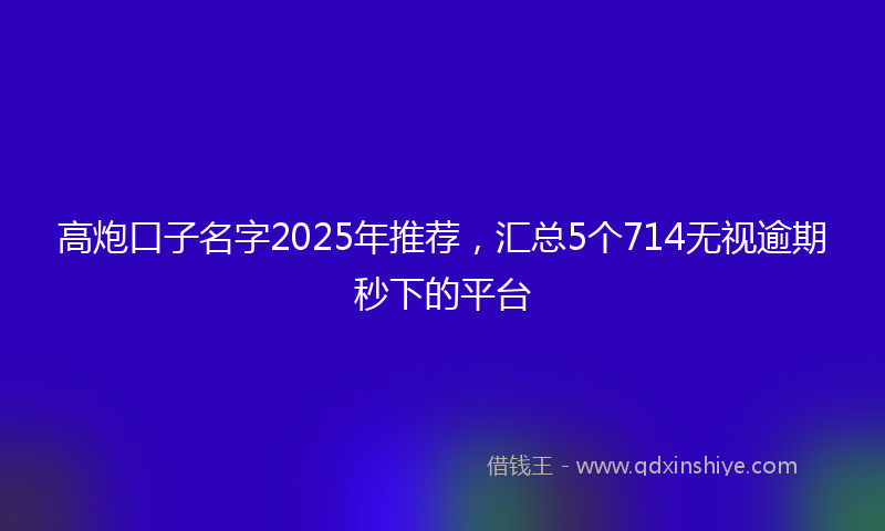高炮口子名字2025年推荐，汇总5个714无视逾期秒下的平台