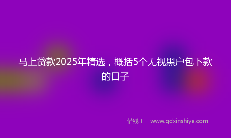马上贷款2025年精选，概括5个无视黑户包下款的口子
