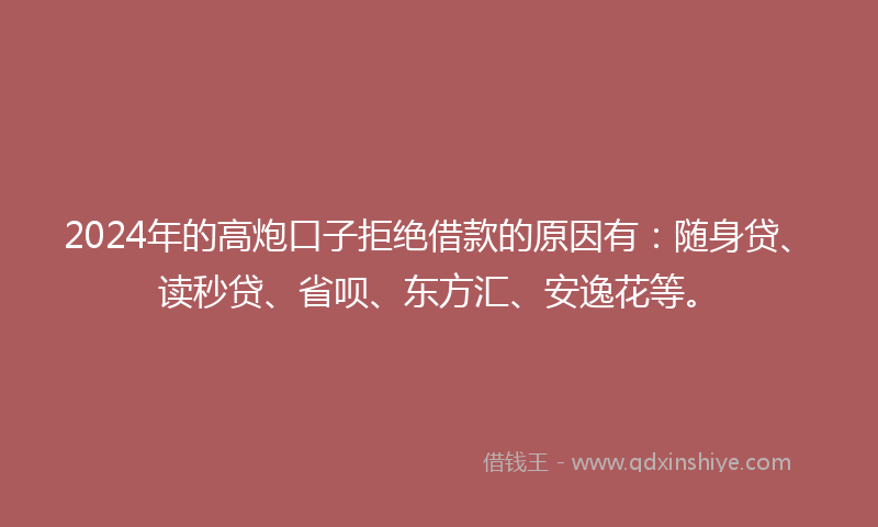 2024年的高炮口子拒绝借款的原因有：随身贷、读秒贷、省呗、东方汇、安逸花等。