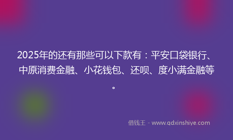 2025年的还有那些可以下款有：平安口袋银行、中原消费金融、小花钱包、还呗、度小满金融等。