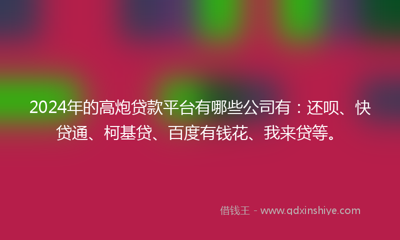 2024年的高炮贷款平台有哪些公司有：还呗、快贷通、柯基贷、百度有钱花、我来贷等。
