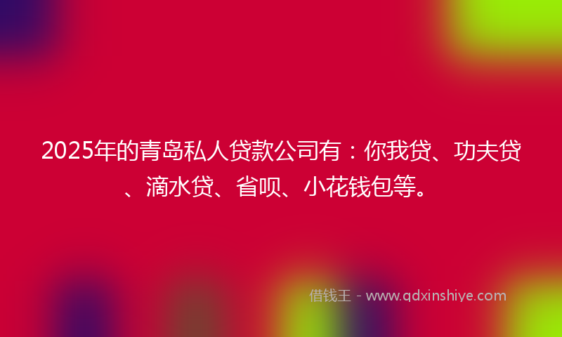 2025年的青岛私人贷款公司有：你我贷、功夫贷、滴水贷、省呗、小花钱包等。