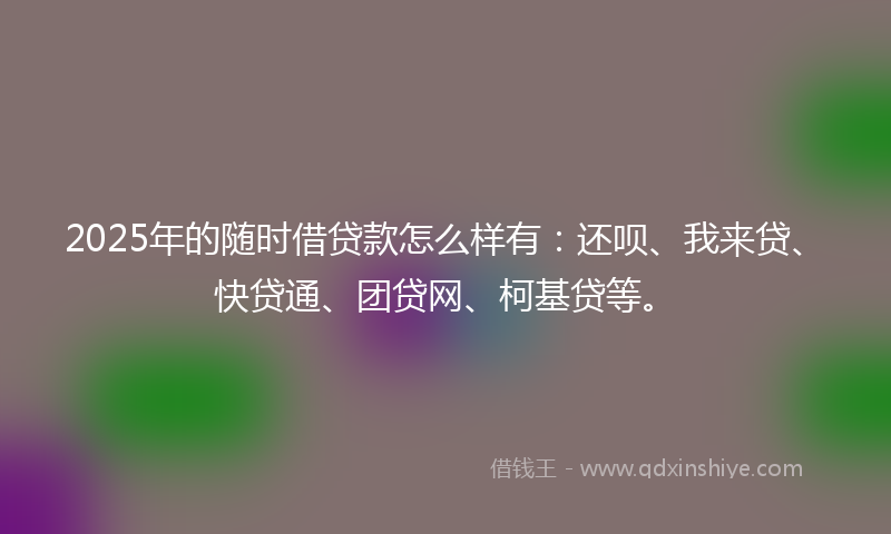 2025年的随时借贷款怎么样有：还呗、我来贷、快贷通、团贷网、柯基贷等。