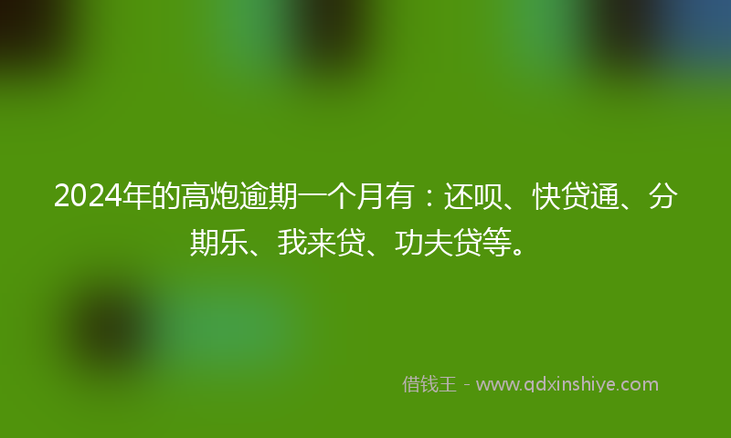 2024年的高炮逾期一个月有：还呗、快贷通、分期乐、我来贷、功夫贷等。