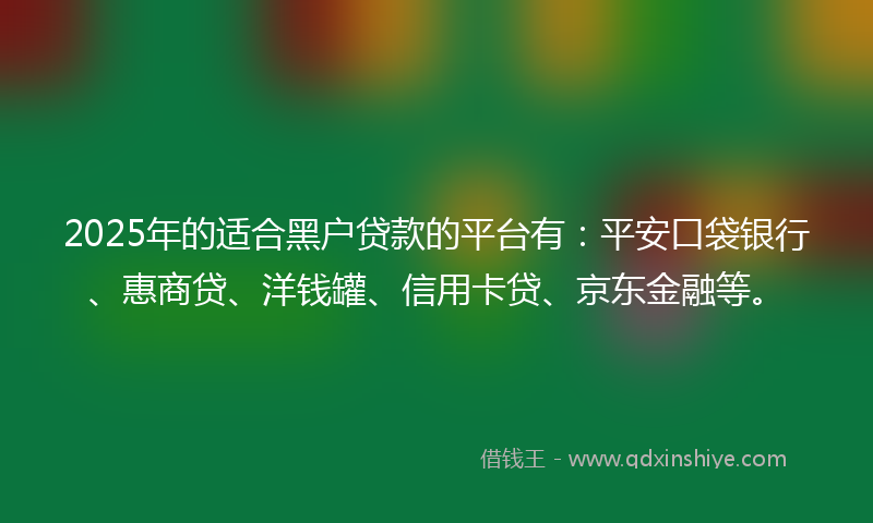 2025年的适合黑户贷款的平台有：平安口袋银行、惠商贷、洋钱罐、信用卡贷、京东金融等。