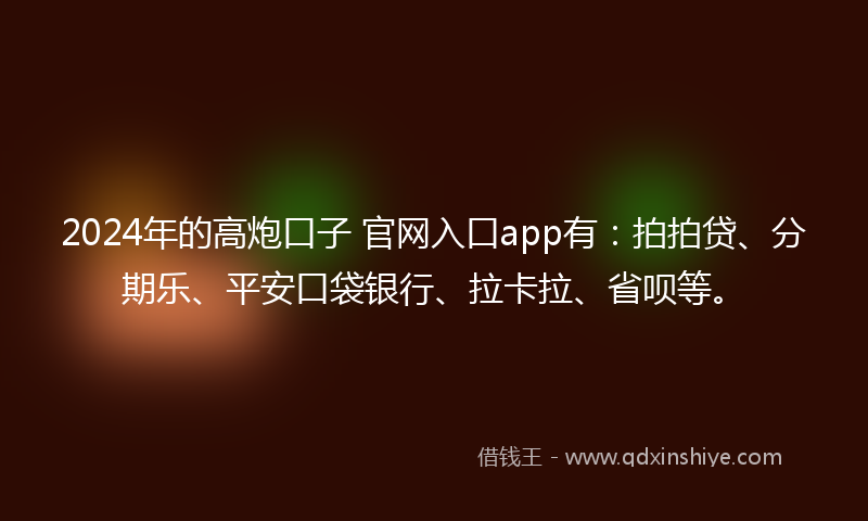 2024年的高炮口子 官网入口app有：拍拍贷、分期乐、平安口袋银行、拉卡拉、省呗等。