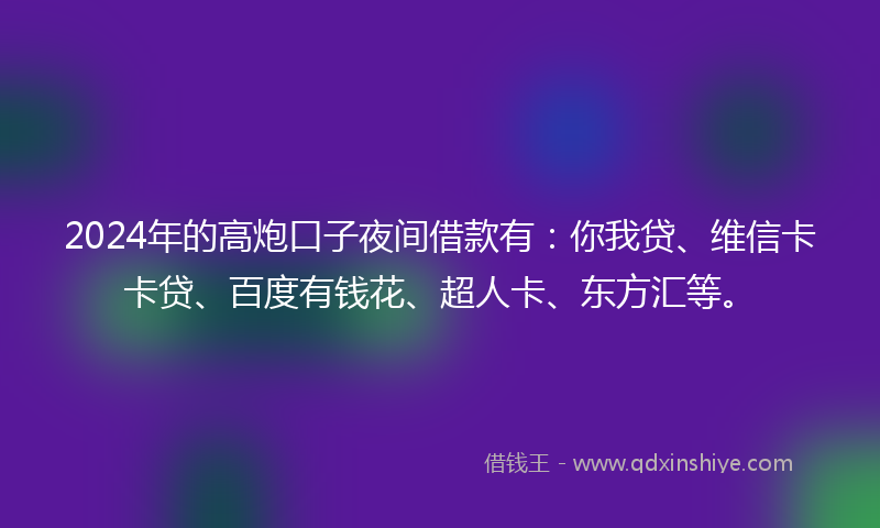 2024年的高炮口子夜间借款有：你我贷、维信卡卡贷、百度有钱花、超人卡、东方汇等。