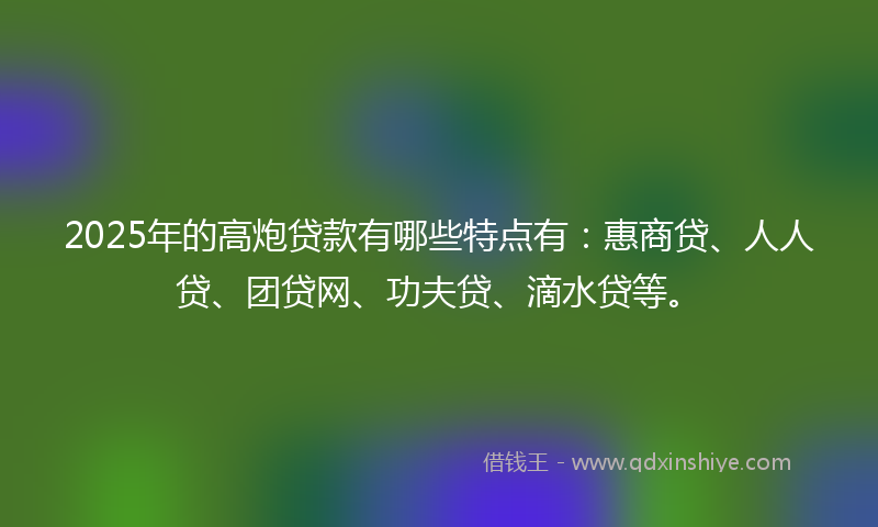 2025年的高炮贷款有哪些特点有：惠商贷、人人贷、团贷网、功夫贷、滴水贷等。