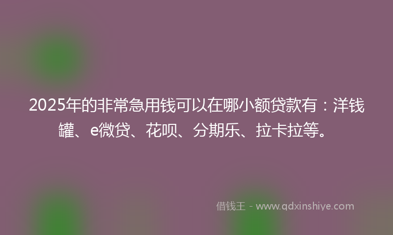 2025年的非常急用钱可以在哪小额贷款有：洋钱罐、e微贷、花呗、分期乐、拉卡拉等。
