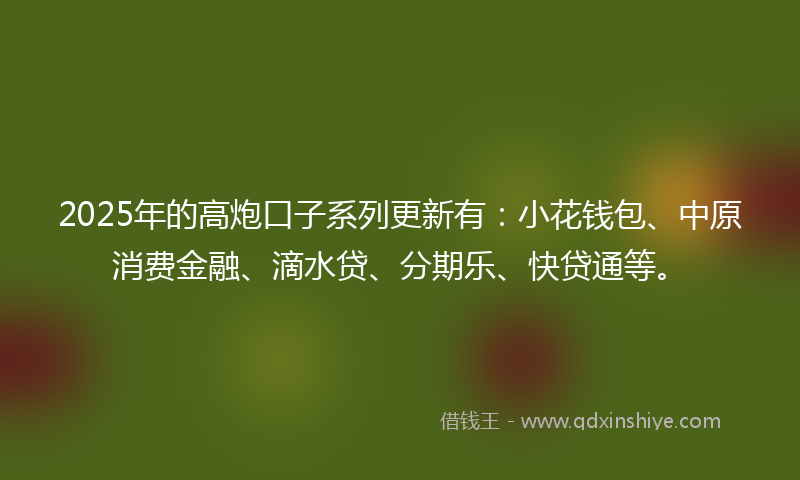 2025年的高炮口子系列更新有：小花钱包、中原消费金融、滴水贷、分期乐、快贷通等。