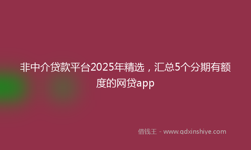 非中介贷款平台2025年精选，汇总5个分期有额度的网贷app