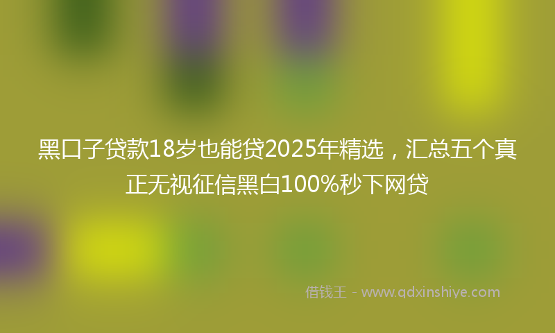 黑口子贷款18岁也能贷2025年精选，汇总五个真正无视征信黑白100%秒下网贷