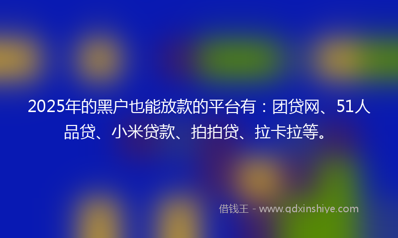 2025年的黑户也能放款的平台有：团贷网、51人品贷、小米贷款、拍拍贷、拉卡拉等。