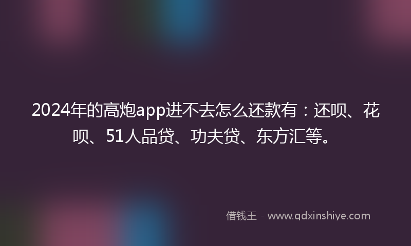 2024年的高炮app进不去怎么还款有：还呗、花呗、51人品贷、功夫贷、东方汇等。