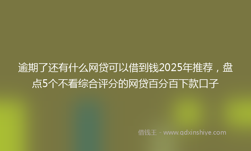 逾期了还有什么网贷可以借到钱2025年推荐，盘点5个不看综合评分的网贷百分百下款口子