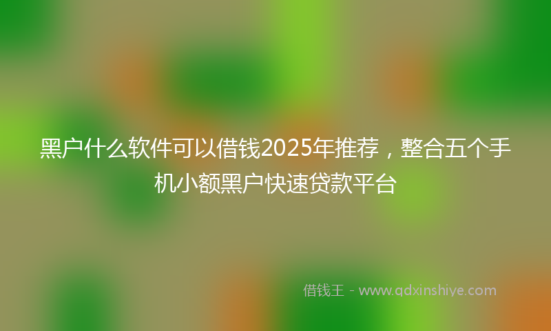 黑户什么软件可以借钱2025年推荐，整合五个手机小额黑户快速贷款平台