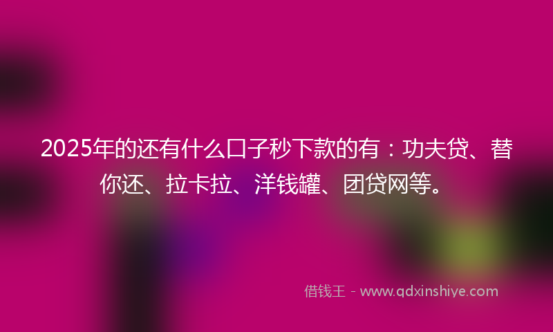 2025年的还有什么口子秒下款的有：功夫贷、替你还、拉卡拉、洋钱罐、团贷网等。