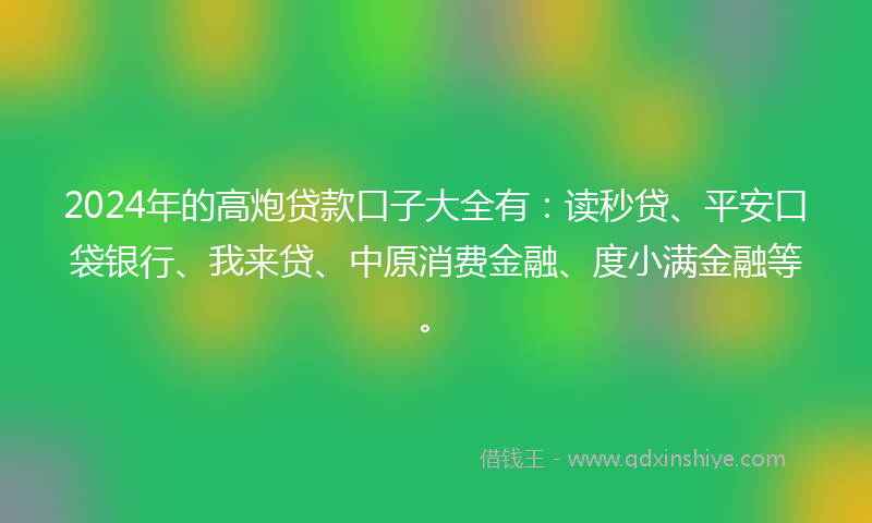 2024年的高炮贷款口子大全有：读秒贷、平安口袋银行、我来贷、中原消费金融、度小满金融等。