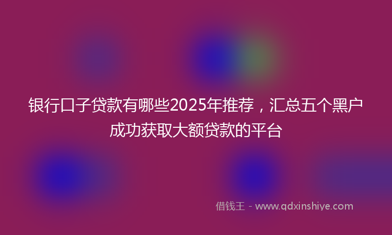 银行口子贷款有哪些2025年推荐，汇总五个黑户成功获取大额贷款的平台