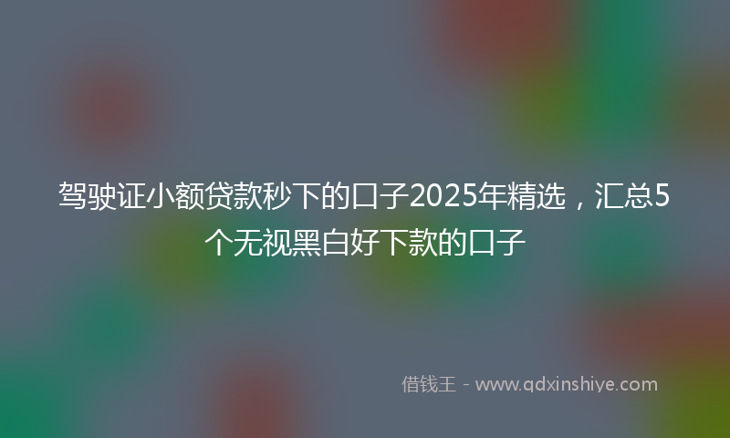 驾驶证小额贷款秒下的口子2025年精选，汇总5个无视黑白好下款的口子