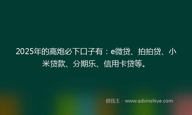 2025年的高炮必下口子有：e微贷、拍拍贷、小米贷款、分期乐、信用卡贷等。