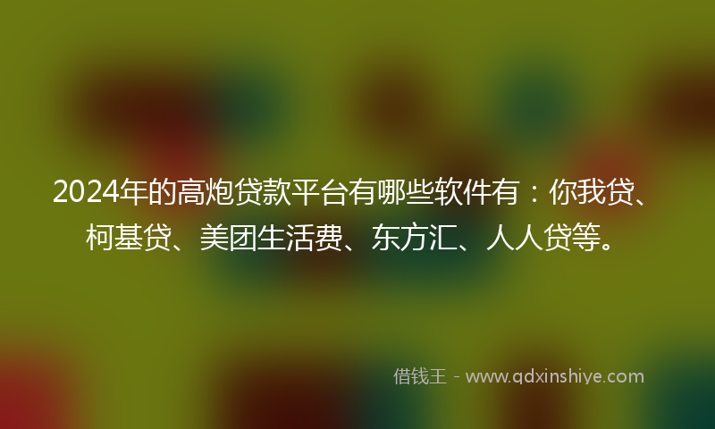 2024年的高炮贷款平台有哪些软件有：你我贷、柯基贷、美团生活费、东方汇、人人贷等。