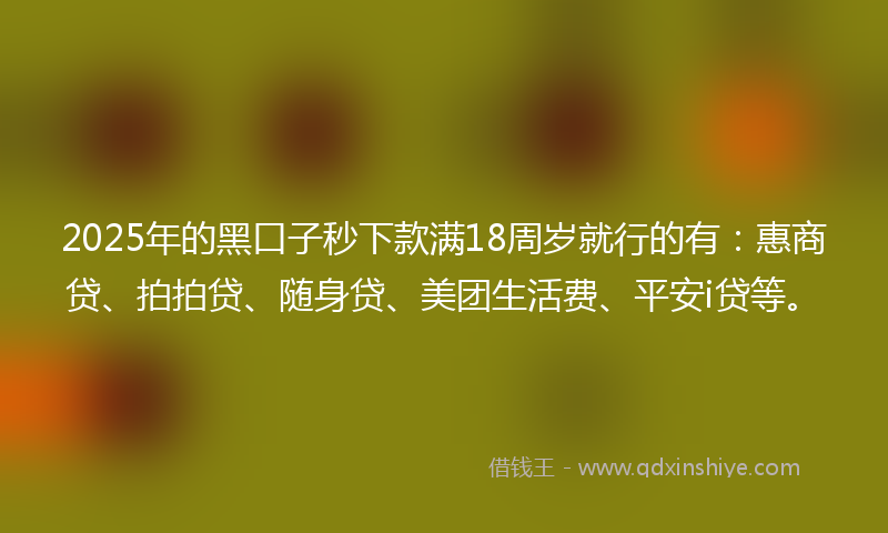 2025年的黑口子秒下款满18周岁就行的有：惠商贷、拍拍贷、随身贷、美团生活费、平安i贷等。