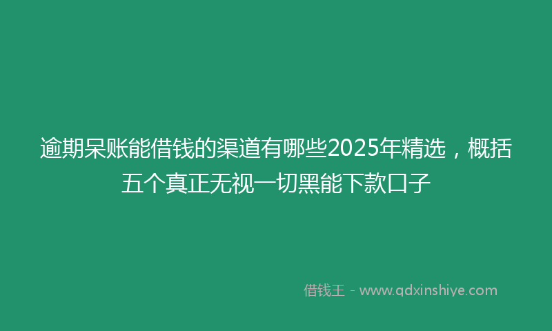 逾期呆账能借钱的渠道有哪些2025年精选，概括五个真正无视一切黑能下款口子