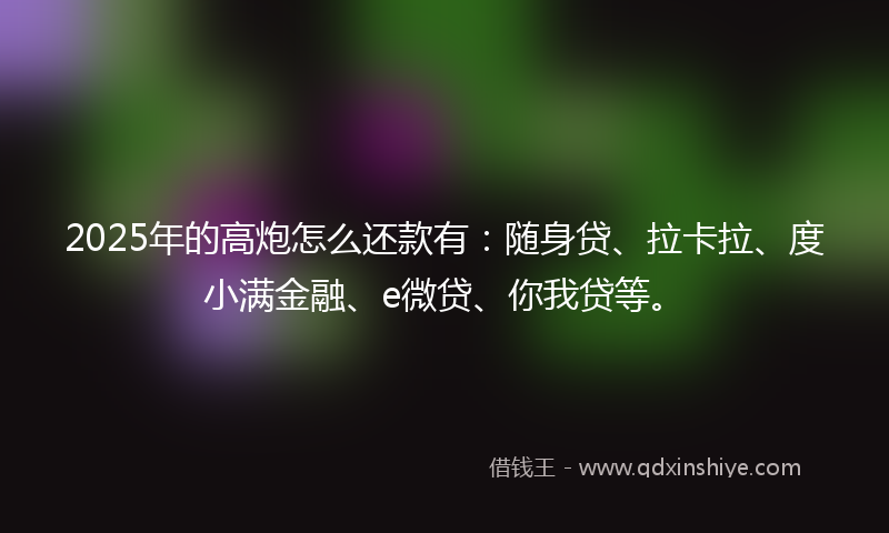 2025年的高炮怎么还款有：随身贷、拉卡拉、度小满金融、e微贷、你我贷等。