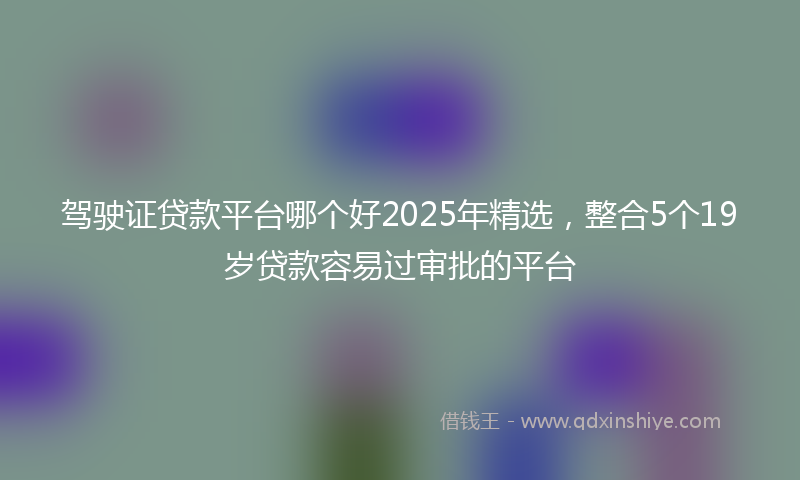 驾驶证贷款平台哪个好2025年精选，整合5个19岁贷款容易过审批的平台