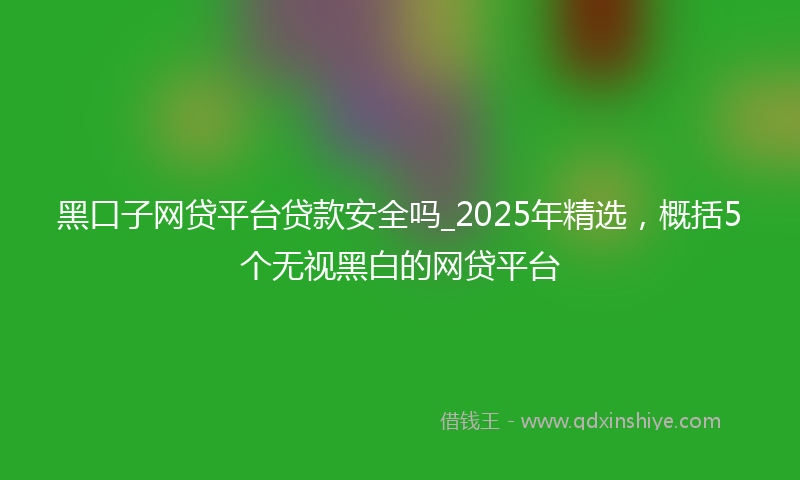黑口子网贷平台贷款安全吗_2025年精选，概括5个无视黑白的网贷平台