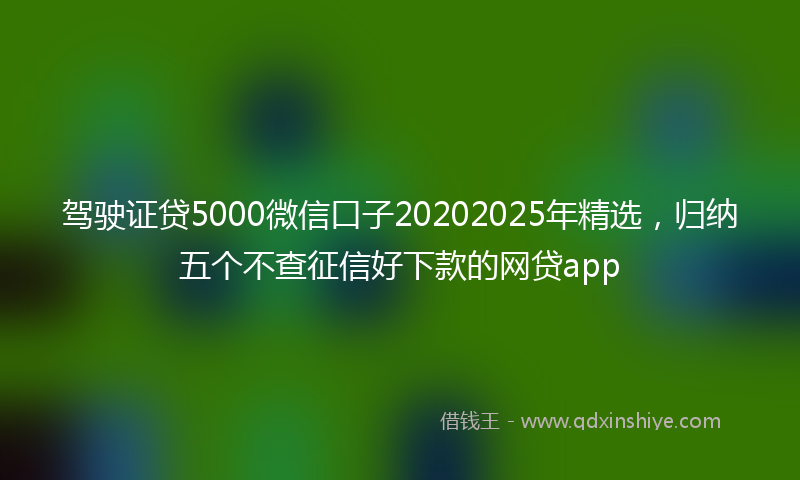 驾驶证贷5000微信口子20202025年精选，归纳五个不查征信好下款的网贷app