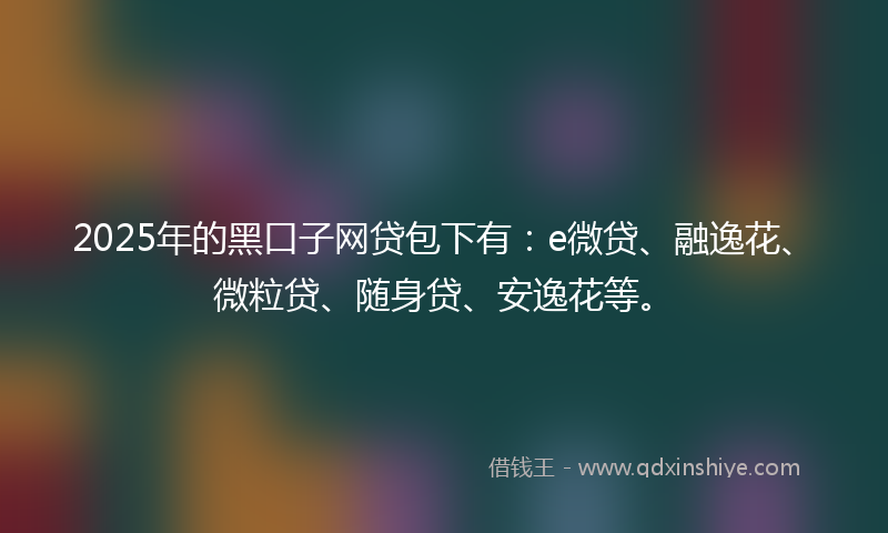 2025年的黑口子网贷包下有：e微贷、融逸花、微粒贷、随身贷、安逸花等。