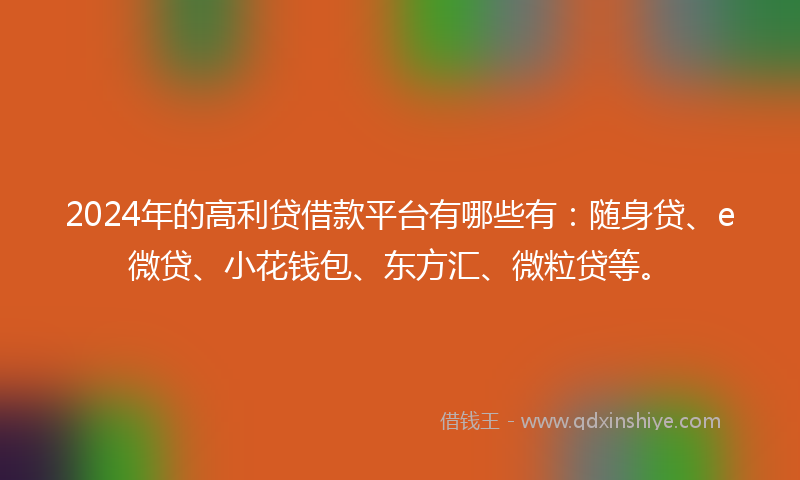 2024年的高利贷借款平台有哪些有：随身贷、e微贷、小花钱包、东方汇、微粒贷等。