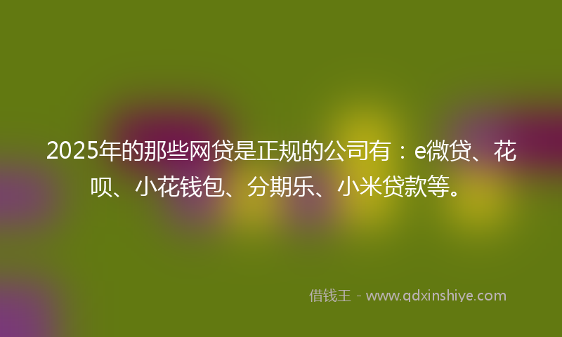 2025年的那些网贷是正规的公司有：e微贷、花呗、小花钱包、分期乐、小米贷款等。