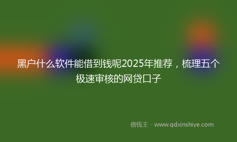 黑户什么软件能借到钱呢2025年推荐，梳理五个极速审核的网贷口子