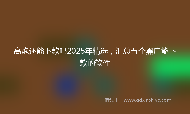 高炮还能下款吗2025年精选，汇总五个黑户能下款的软件