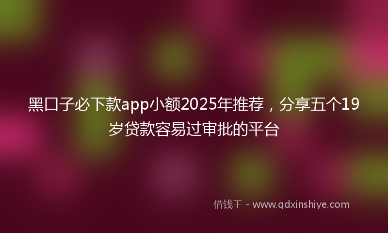 黑口子必下款app小额2025年推荐，分享五个19岁贷款容易过审批的平台