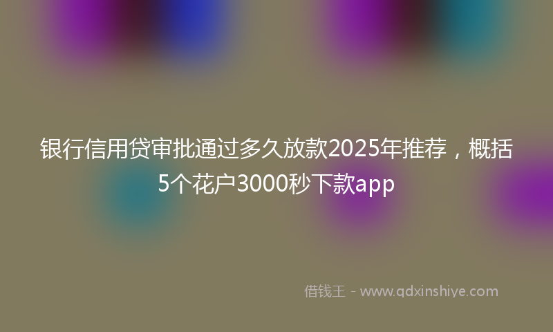 银行信用贷审批通过多久放款2025年推荐，概括5个花户3000秒下款app